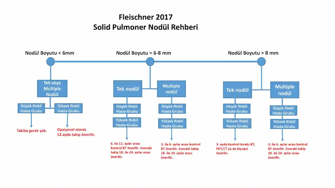 Solid pulmoner nodül takibi yüksek kaliteli resim