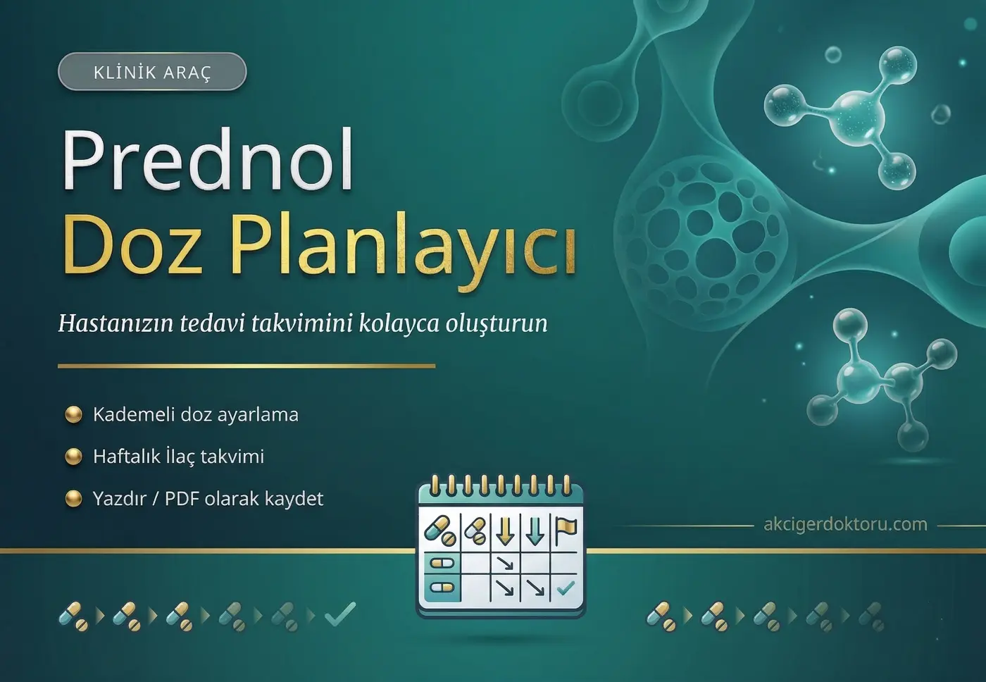 Prednol Doz Hesaplayıcı